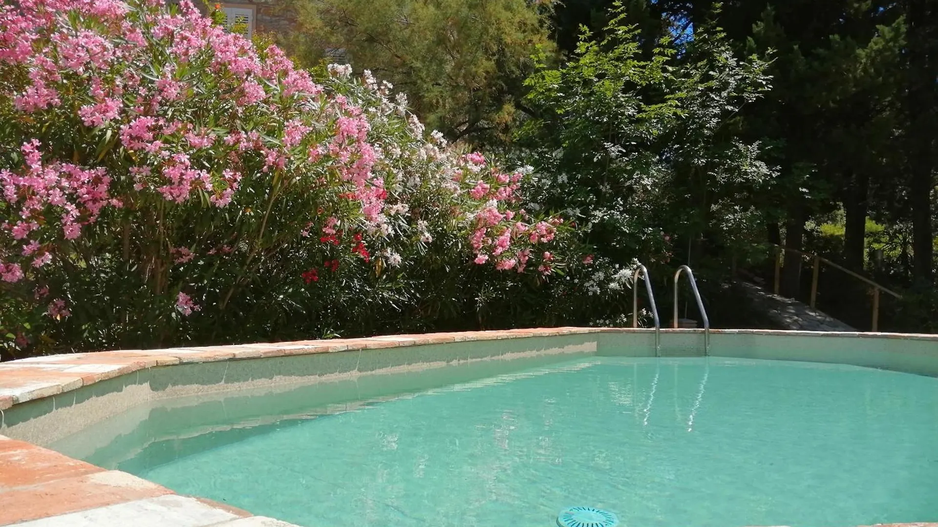 Bed & Breakfast La Locanda Del Barbagianni Santa Luce