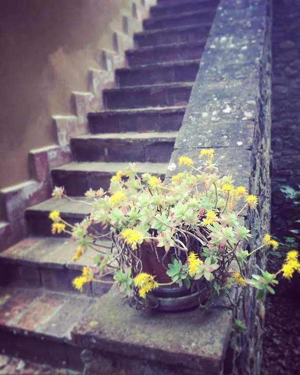 *** Bed & Breakfast La Locanda Del Barbagianni Santa Luce Italy