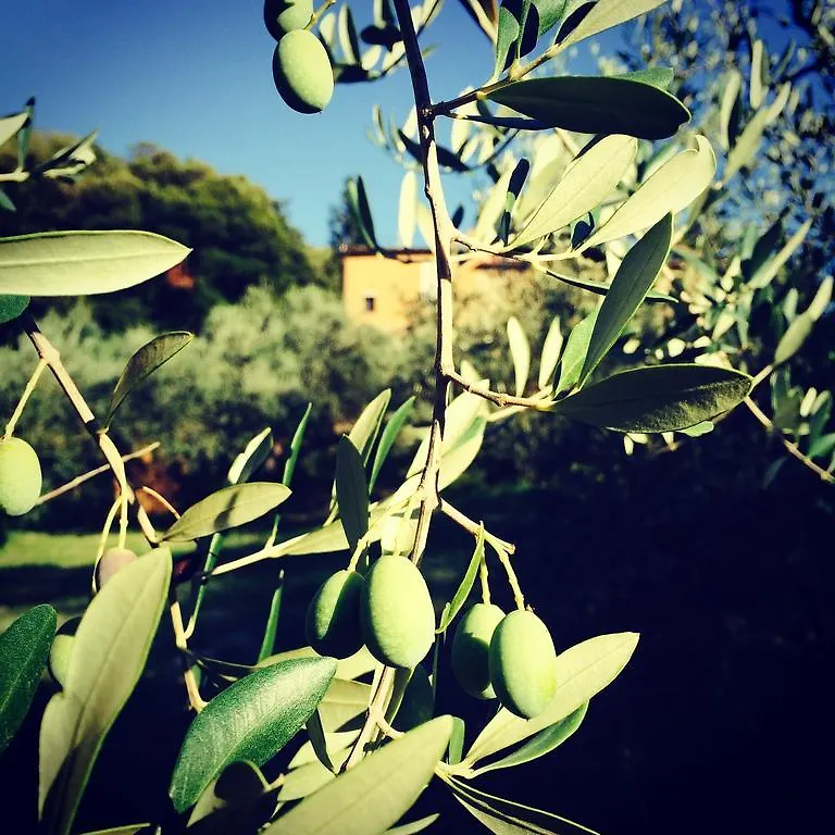 La Locanda Del Barbagianni Santa Luce Frühstückspension