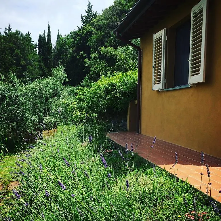 La Locanda Del Barbagianni Santa Luce Frühstückspension