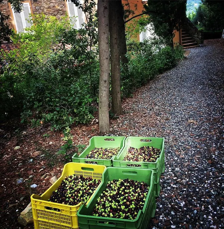 La Locanda Del Barbagianni Santa Luce