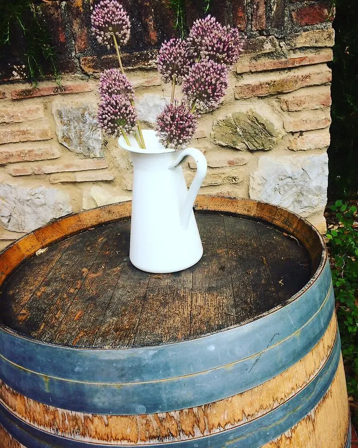 Frühstückspension La Locanda Del Barbagianni Santa Luce